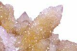 Sparkling Cactus Amethyst Crystal Cluster - South Africa #382313-2